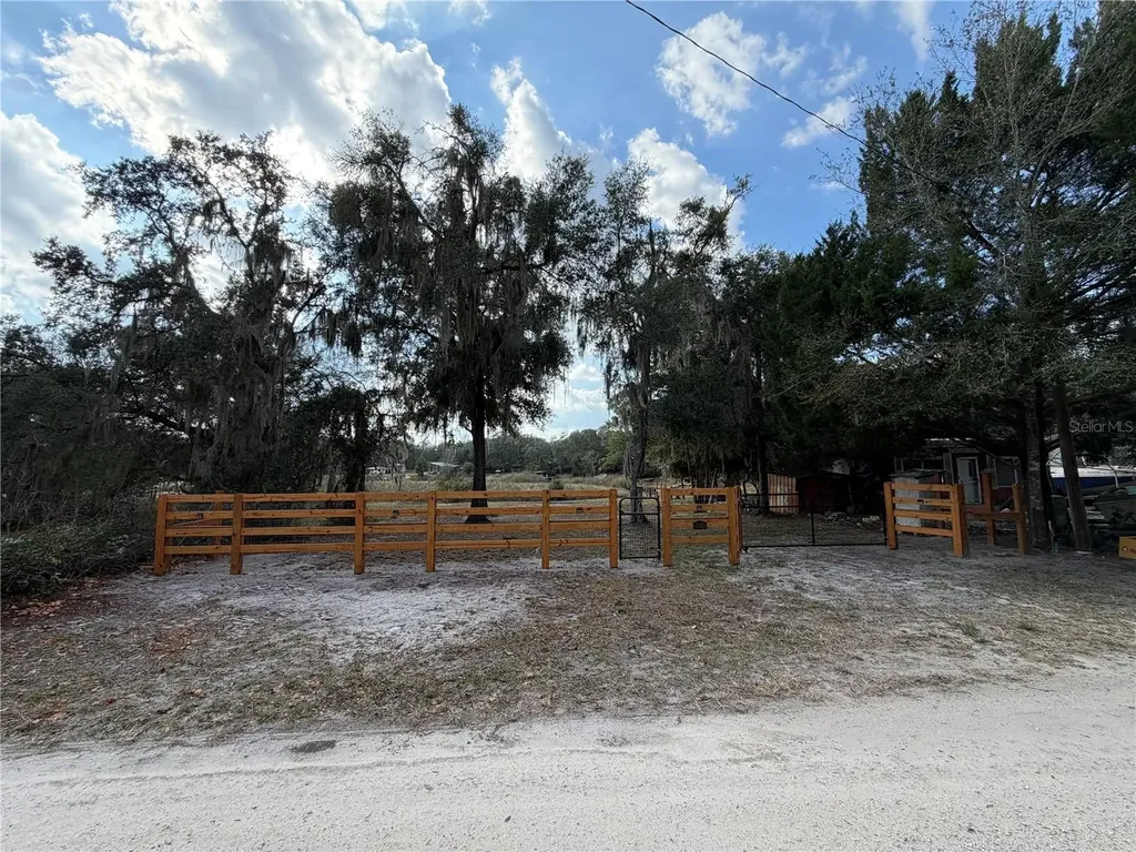 Tbd NE 152nd Lane Salt Springs FL 32134