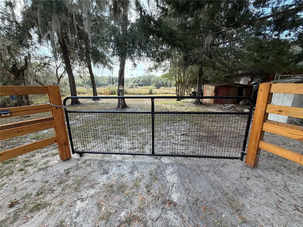 Tbd NE 152nd Lane Salt Springs FL 32134