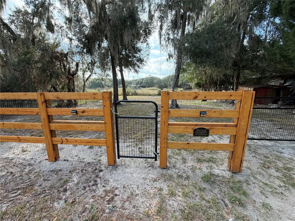Tbd NE 152nd Lane Salt Springs FL 32134