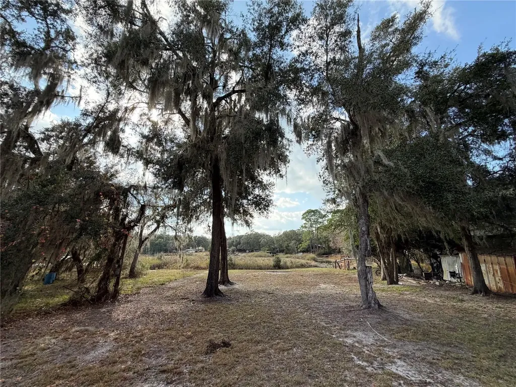 Tbd NE 152nd Lane Salt Springs FL 32134