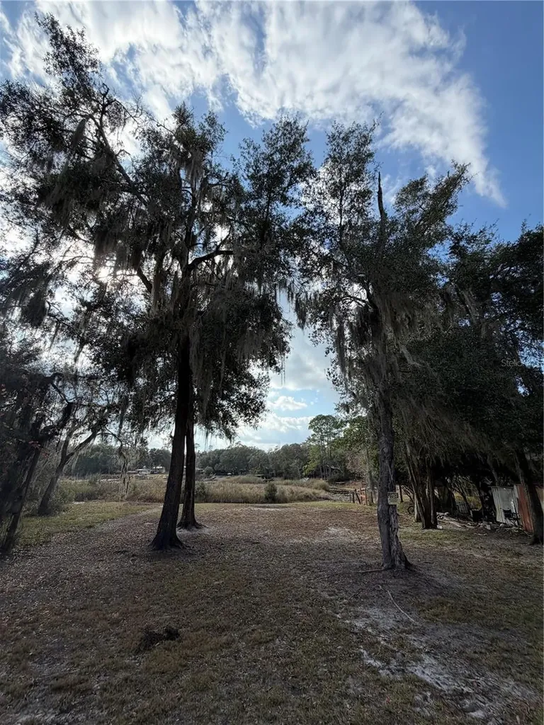 Tbd NE 152nd Lane Salt Springs FL 32134