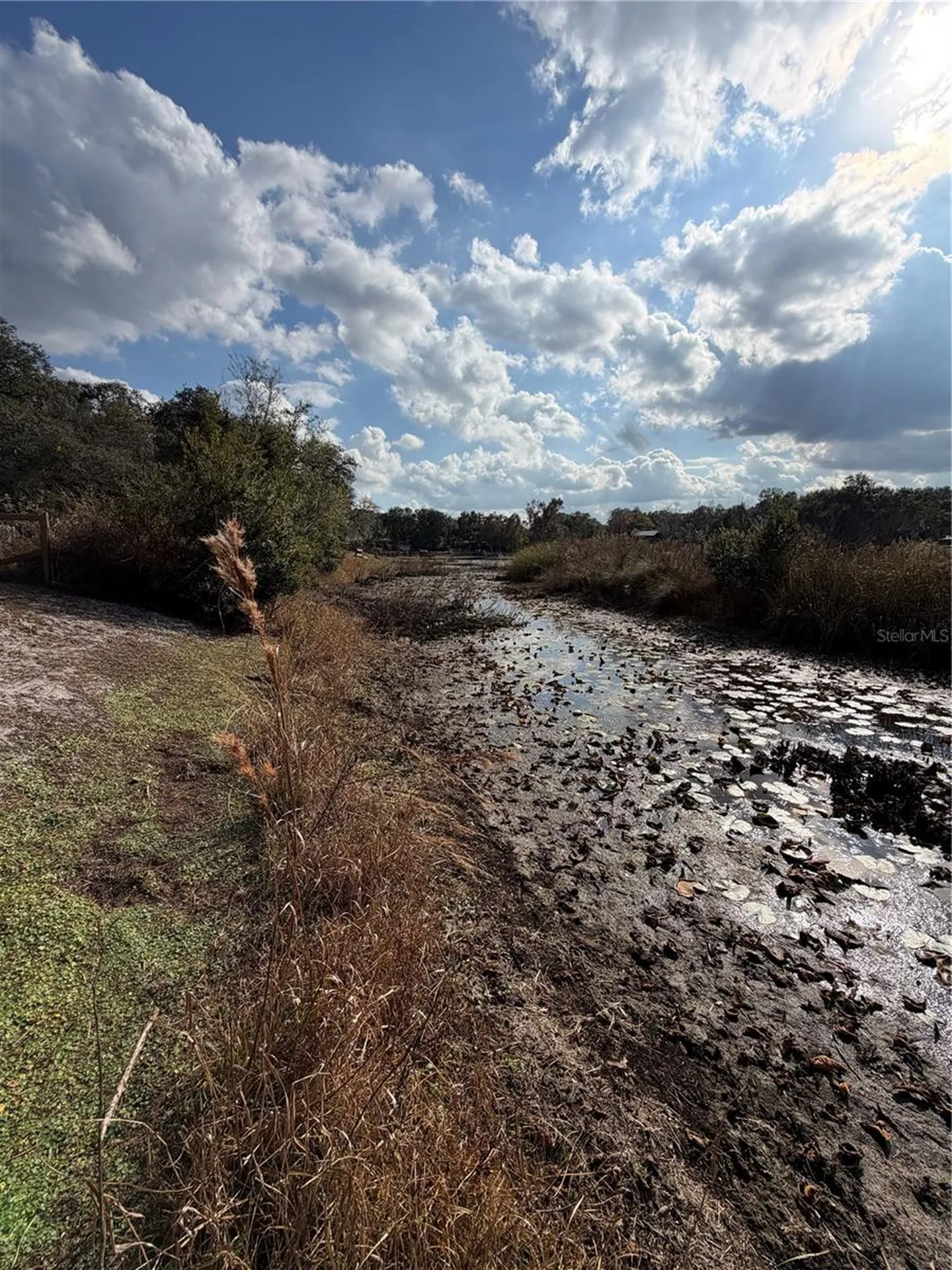 Tbd NE 152nd Lane Salt Springs FL 32134