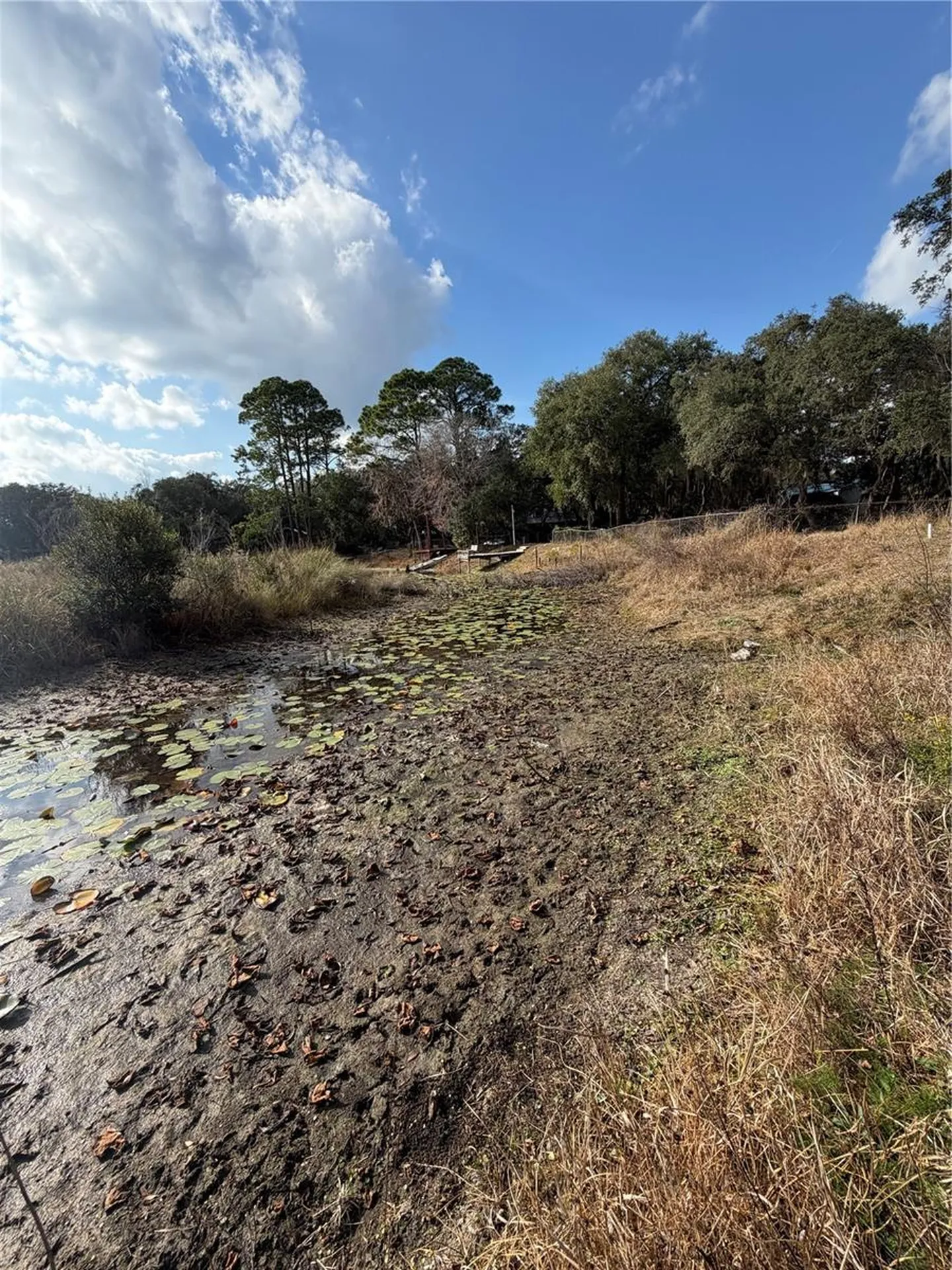 Tbd NE 152nd Lane Salt Springs FL 32134