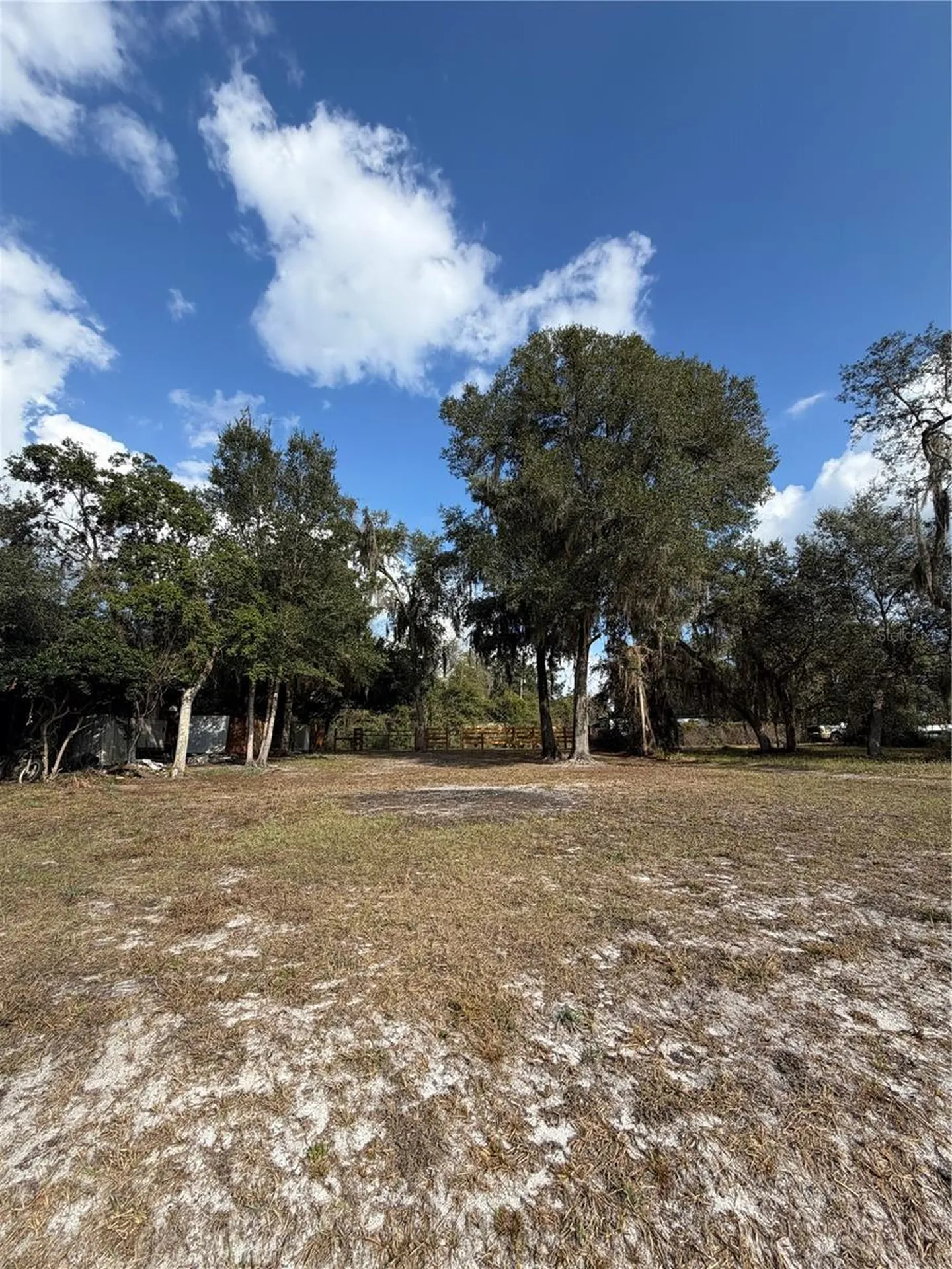 Tbd NE 152nd Lane Salt Springs FL 32134