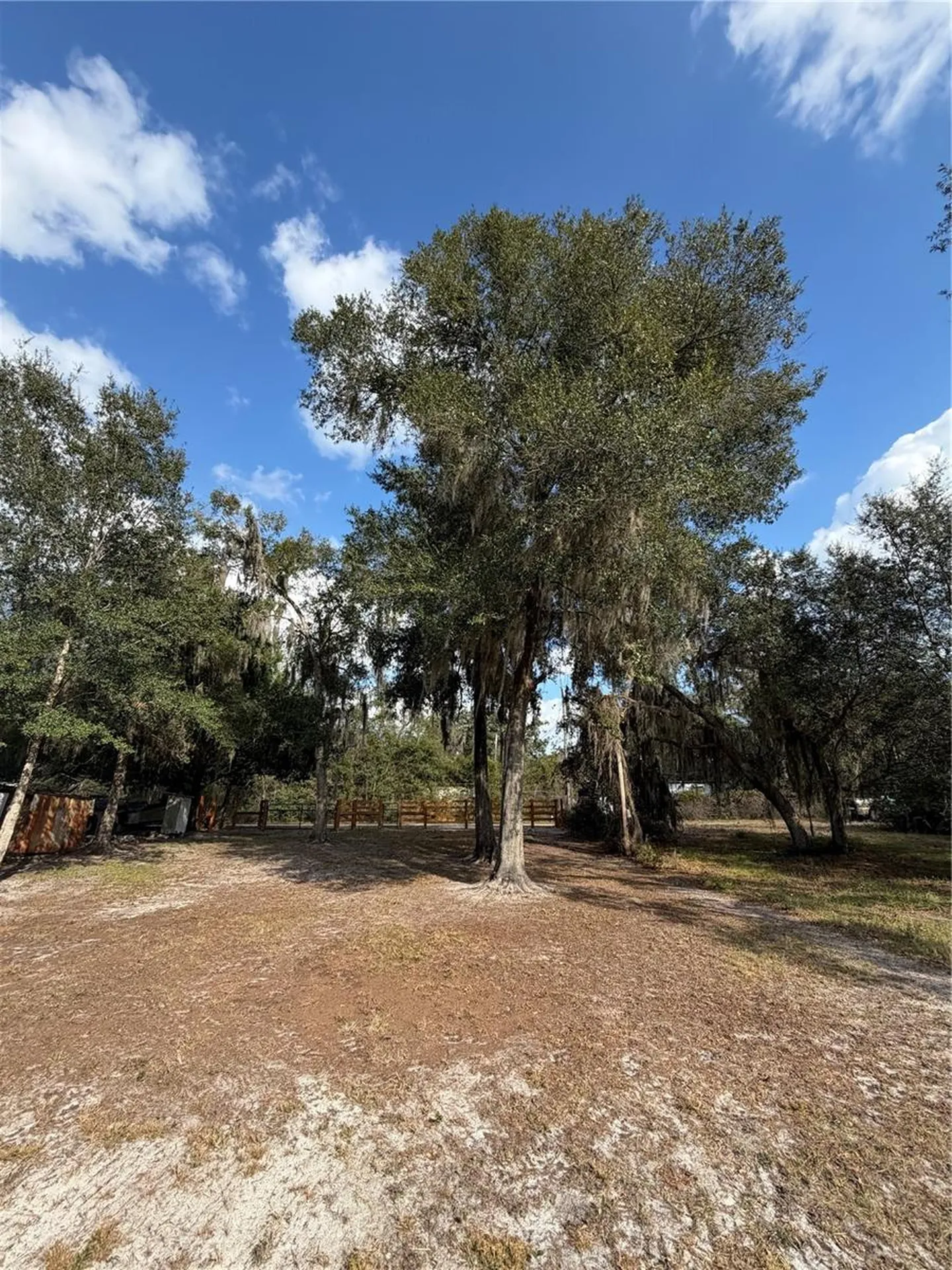 Tbd NE 152nd Lane Salt Springs FL 32134