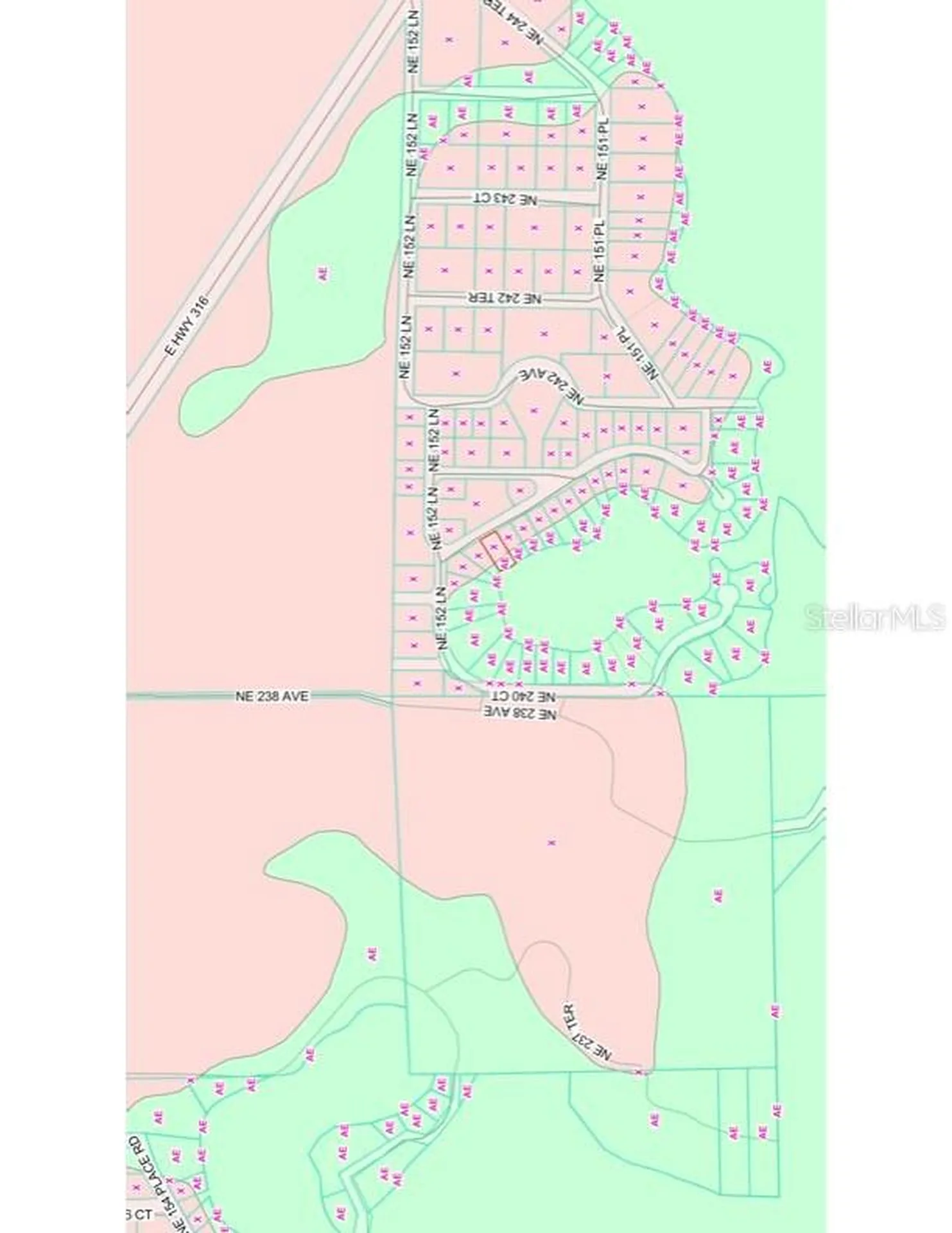 Tbd NE 152nd Lane Salt Springs FL 32134