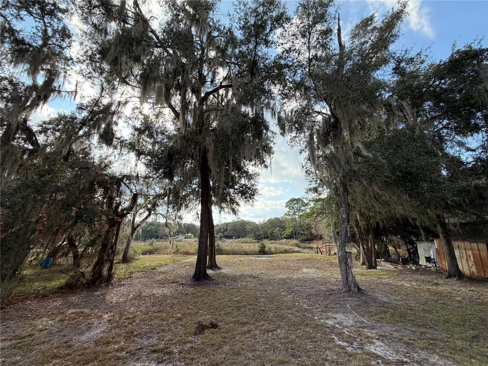 Tbd NE 152nd Lane Salt Springs FL 32134