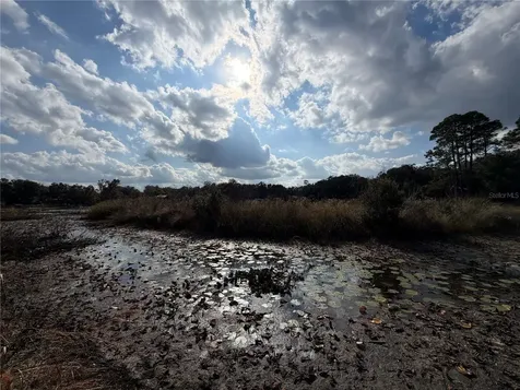 Tbd NE 152nd Lane Salt Springs FL 32134