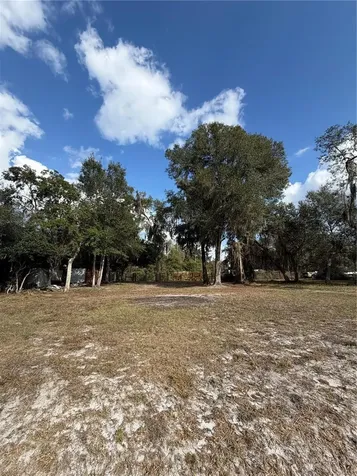 Tbd NE 152nd Lane Salt Springs FL 32134