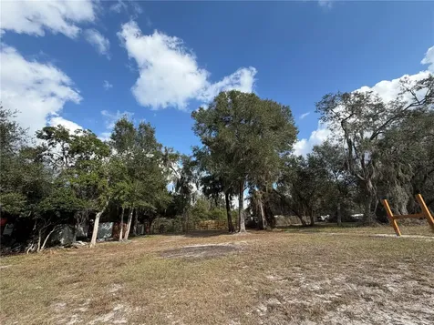 Tbd NE 152nd Lane Salt Springs FL 32134