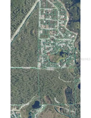 Tbd NE 152nd Lane Salt Springs FL 32134