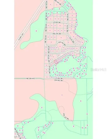 Tbd NE 152nd Lane Salt Springs FL 32134
