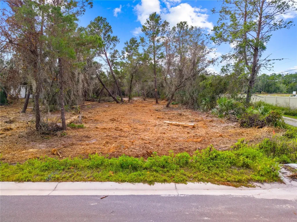 0 Dease Road St Cloud FL 34771