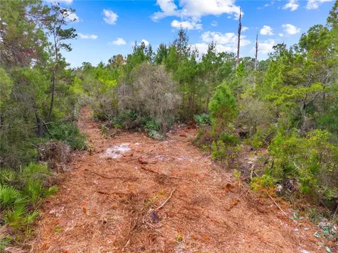 0 Dease Road St Cloud FL 34771