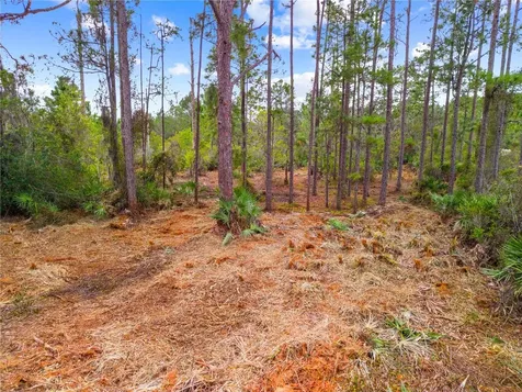 0 Dease Road St Cloud FL 34771