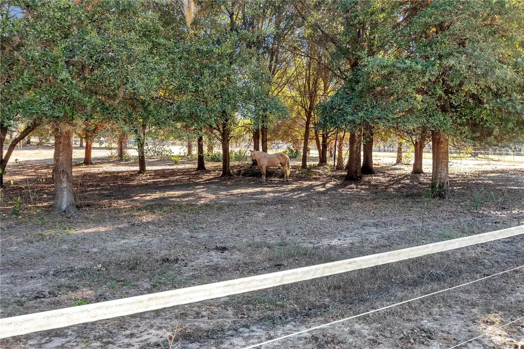 11375 N Circle M Avenue Dunnellon FL 34433