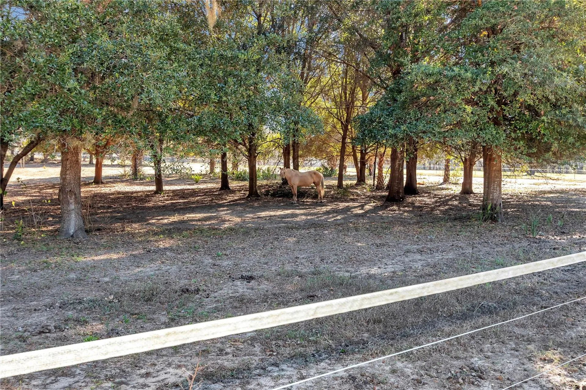 11375 N Circle M Avenue Dunnellon FL 34433