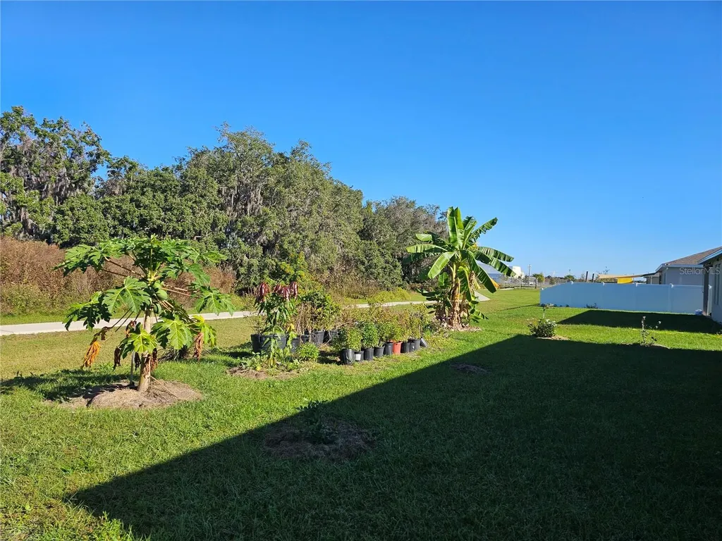 2045 Rankin Street Kissimmee FL 34744