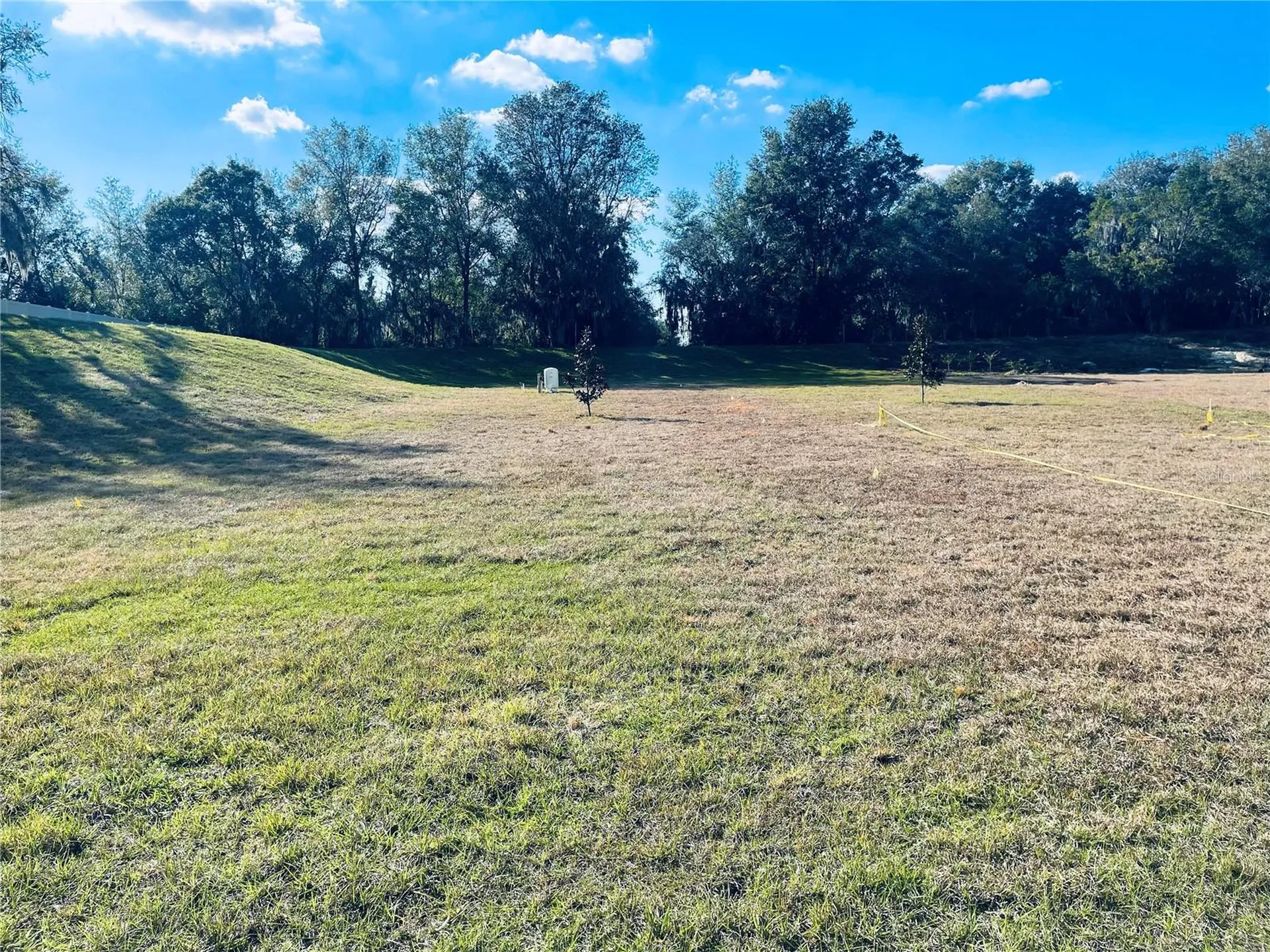 10140 White Magnolia Square Thonotosassa FL 33592