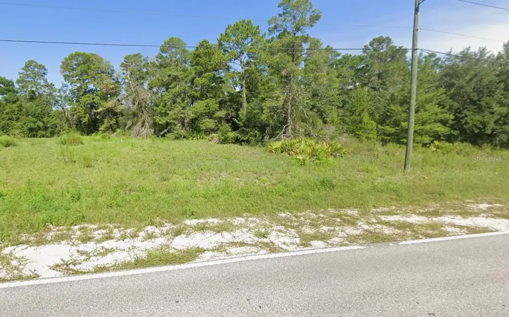 00 Nightwalker Road Weeki Wachee FL 34613