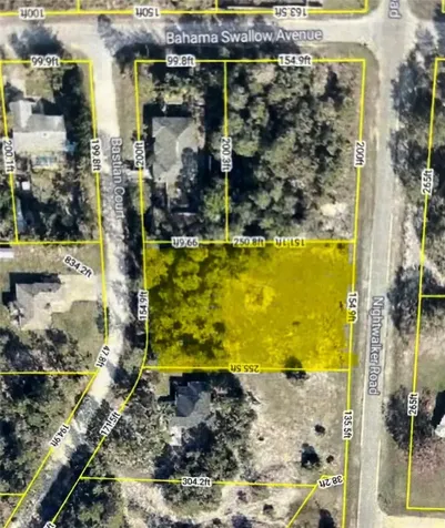 00 Nightwalker Road Weeki Wachee FL 34613