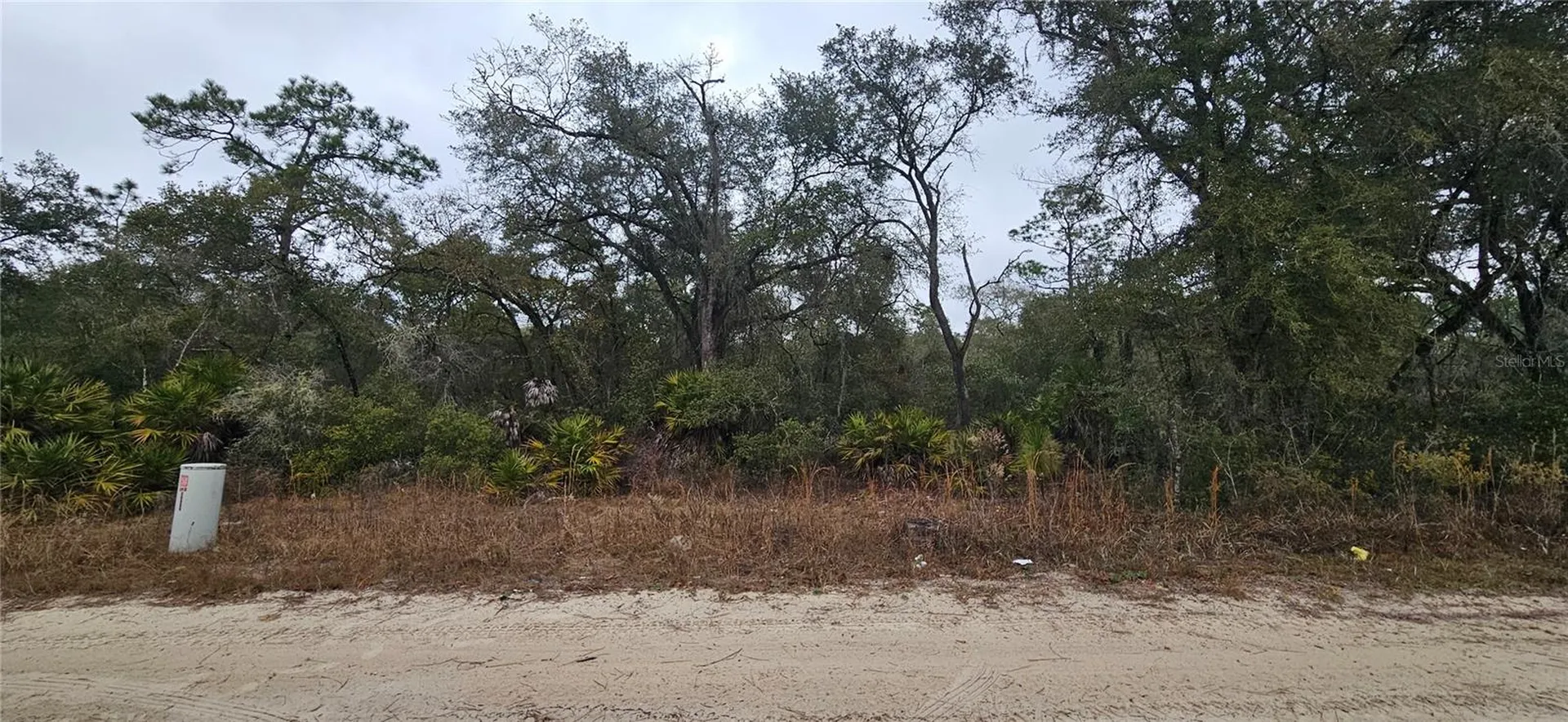 SW 155th Street Dunnellon FL 34432