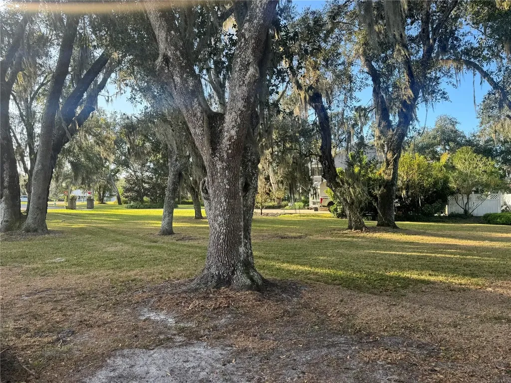 4019 NE Barton Terrace Arcadia FL 34266