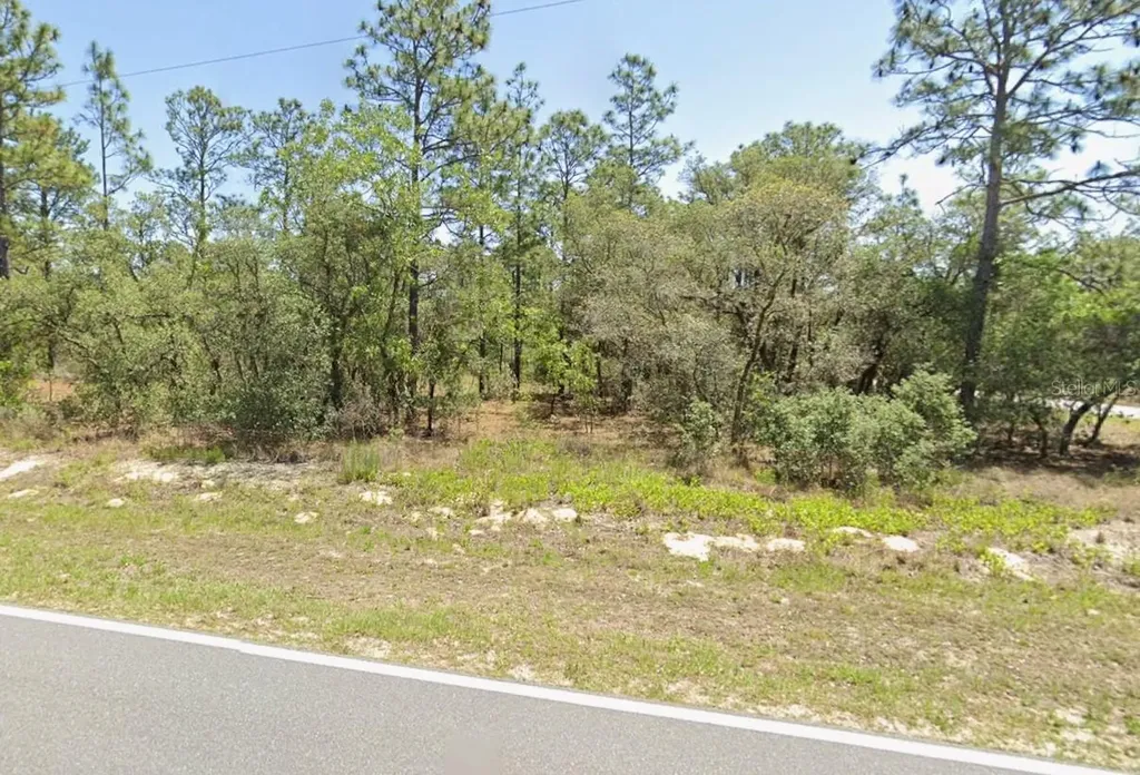 0 NW Rigewood Road Dunnellon FL 34431