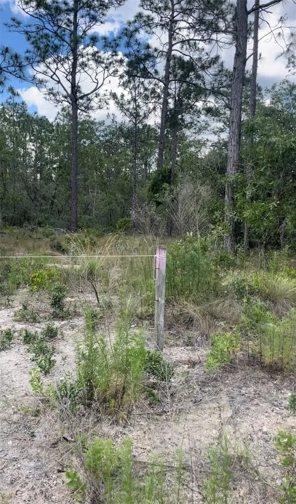 0 NW Rigewood Road Dunnellon FL 34431