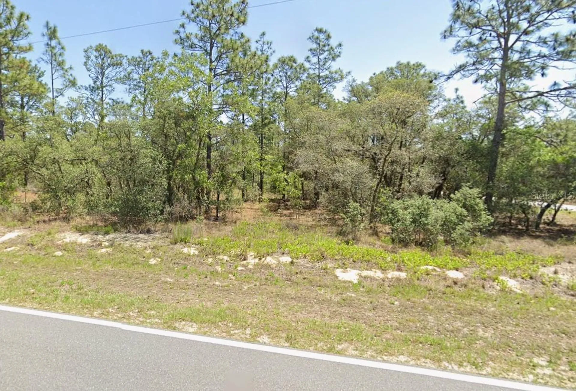 0 NW Rigewood Road Dunnellon FL 34431