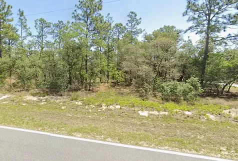 0 NW Rigewood Road Dunnellon FL 34431