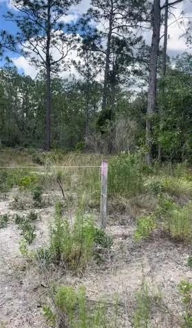 0 NW Rigewood Road Dunnellon FL 34431