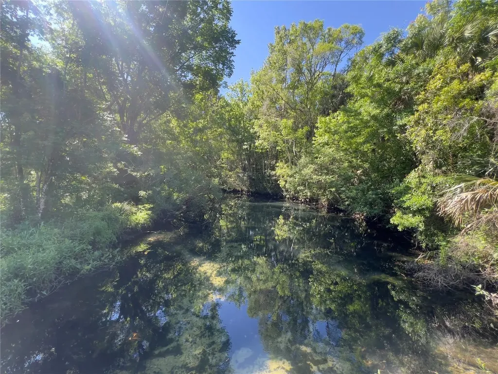 450 NW Crystal Street Crystal River FL 34428