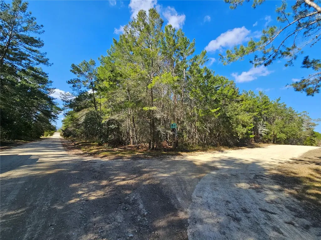 Tbd SE 8th Street Williston FL 32696
