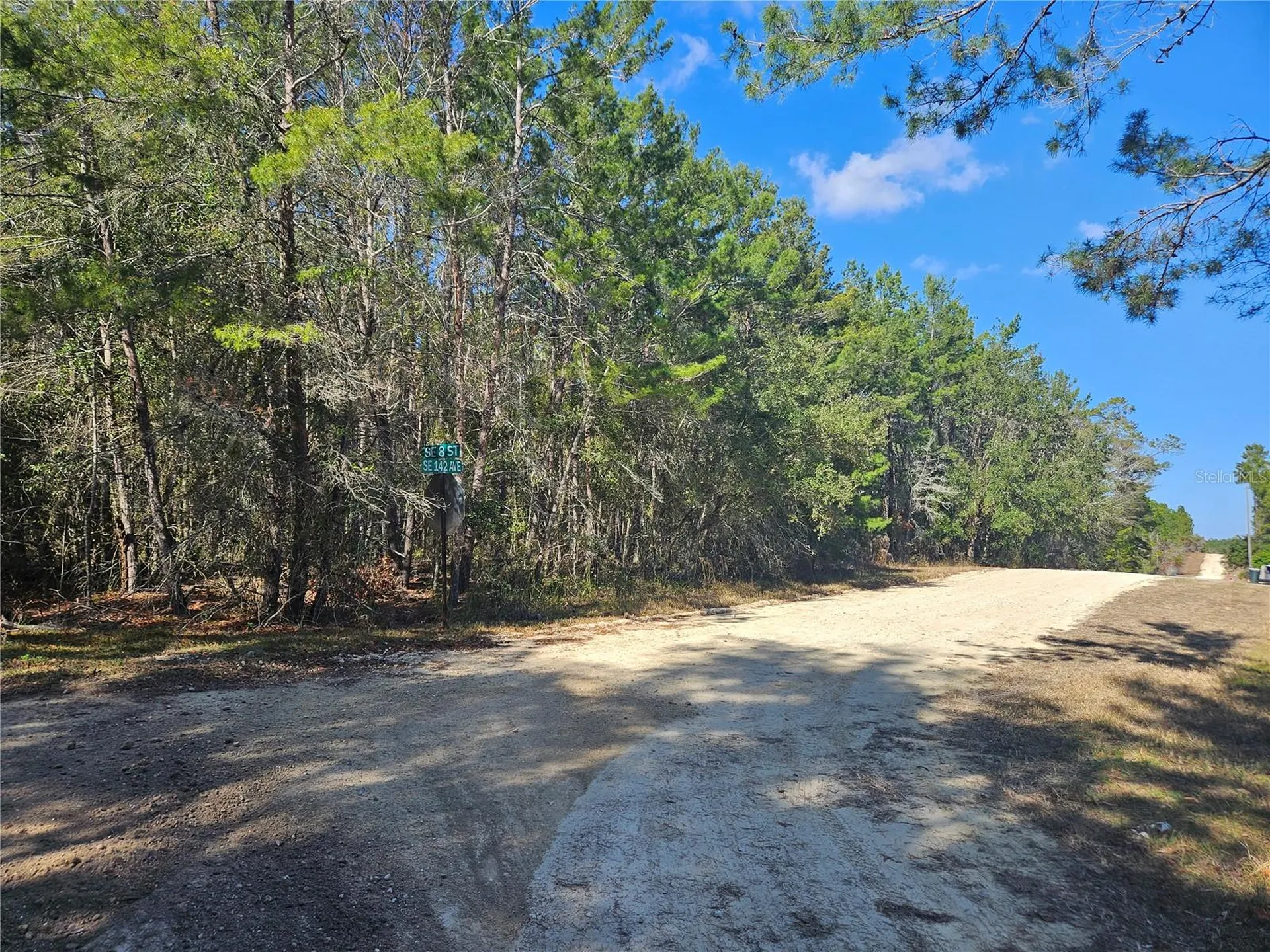 Tbd SE 8th Street Williston FL 32696