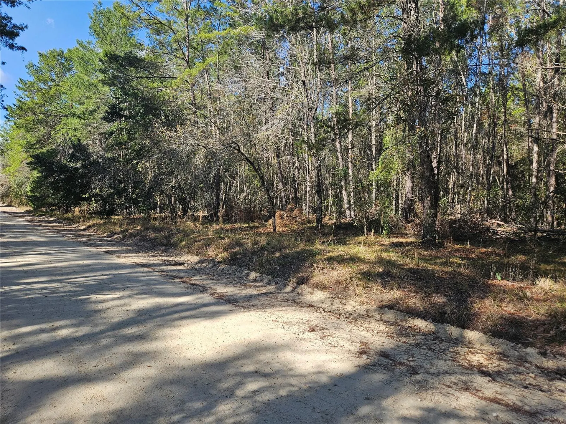 Tbd SE 8th Street Williston FL 32696