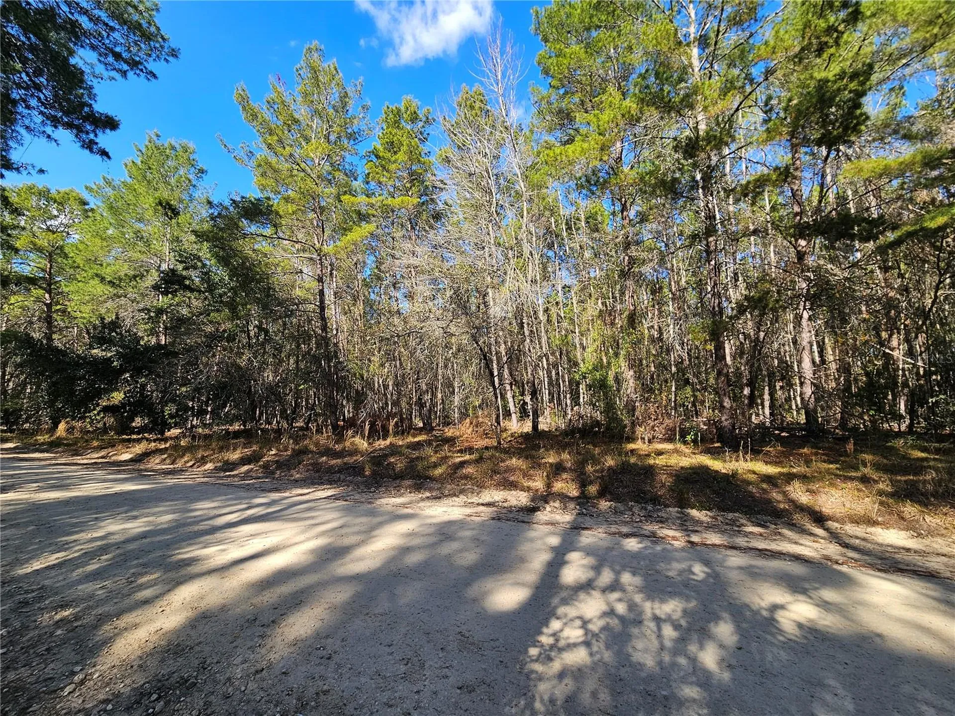Tbd SE 8th Street Williston FL 32696