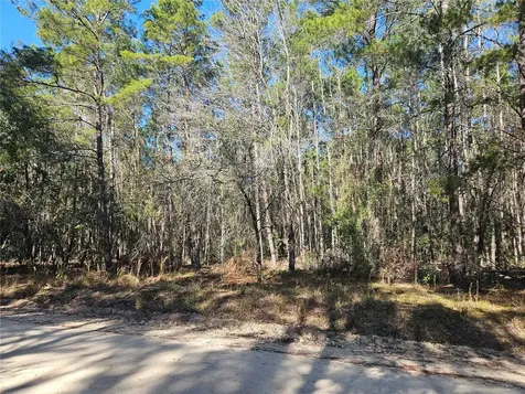 Tbd SE 8th Street Williston FL 32696