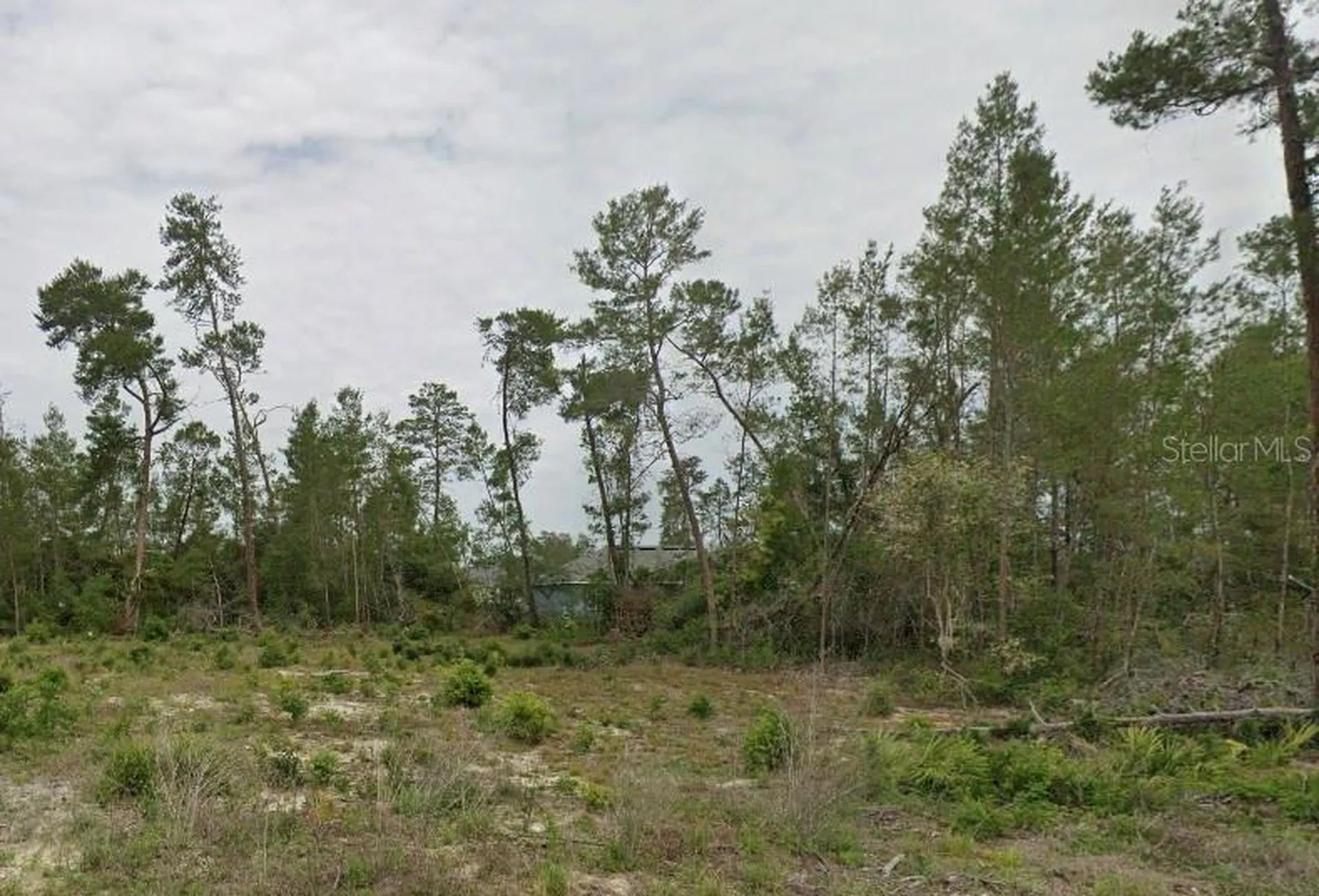 Tbd SW 30th Avenue Road Ocala FL 34473