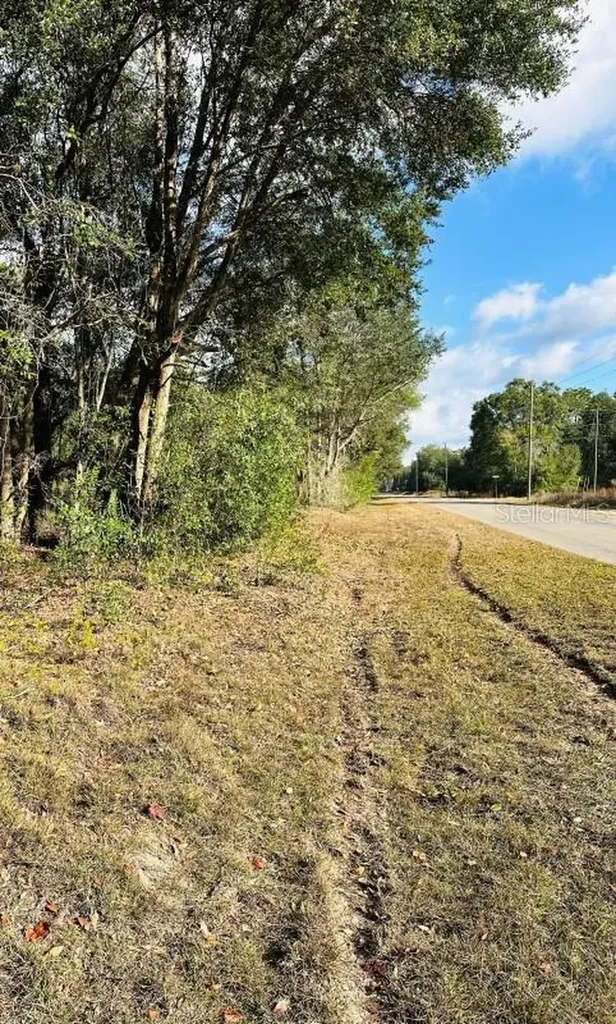 SE 141st Avenue Ocklawaha FL 32179