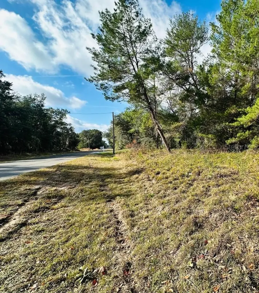 SE 141st Avenue Ocklawaha FL 32179