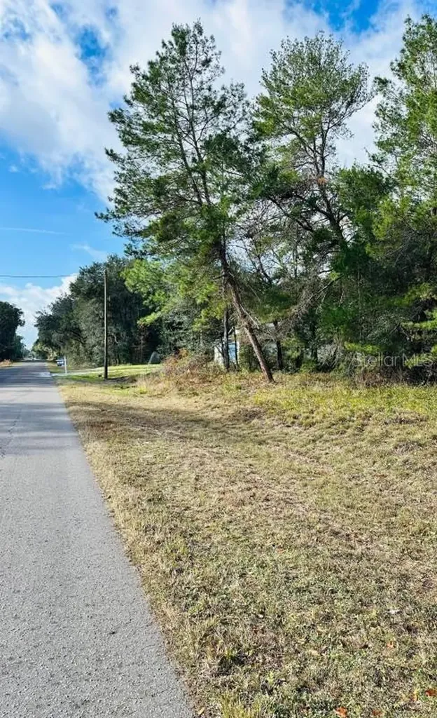SE 141st Avenue Ocklawaha FL 32179
