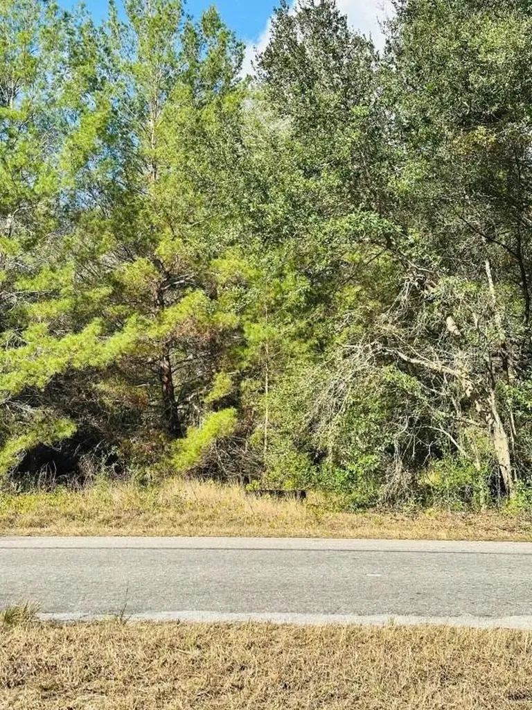 SE 141st Avenue Ocklawaha FL 32179