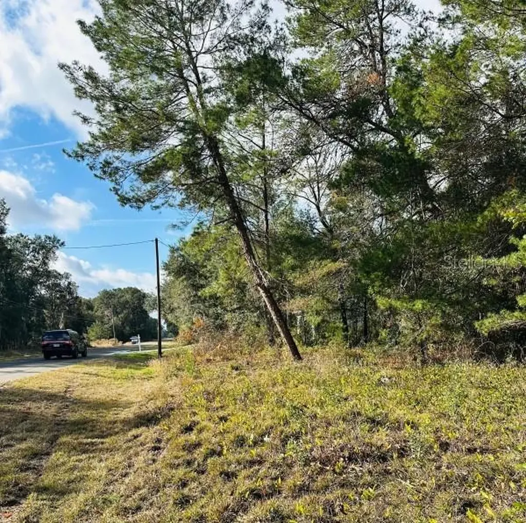SE 141st Avenue Ocklawaha FL 32179