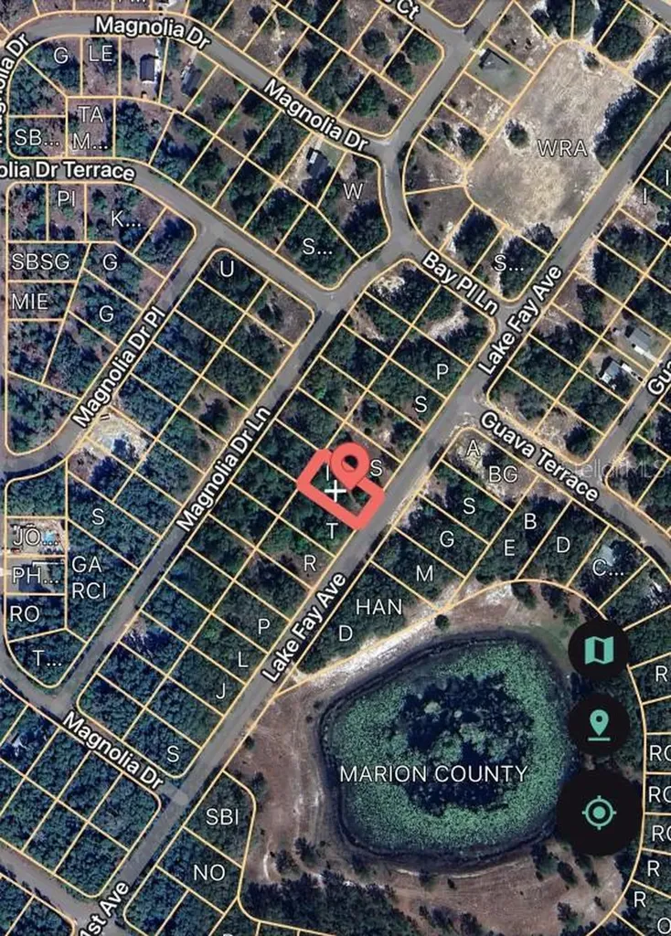 SE 141st Avenue Ocklawaha FL 32179