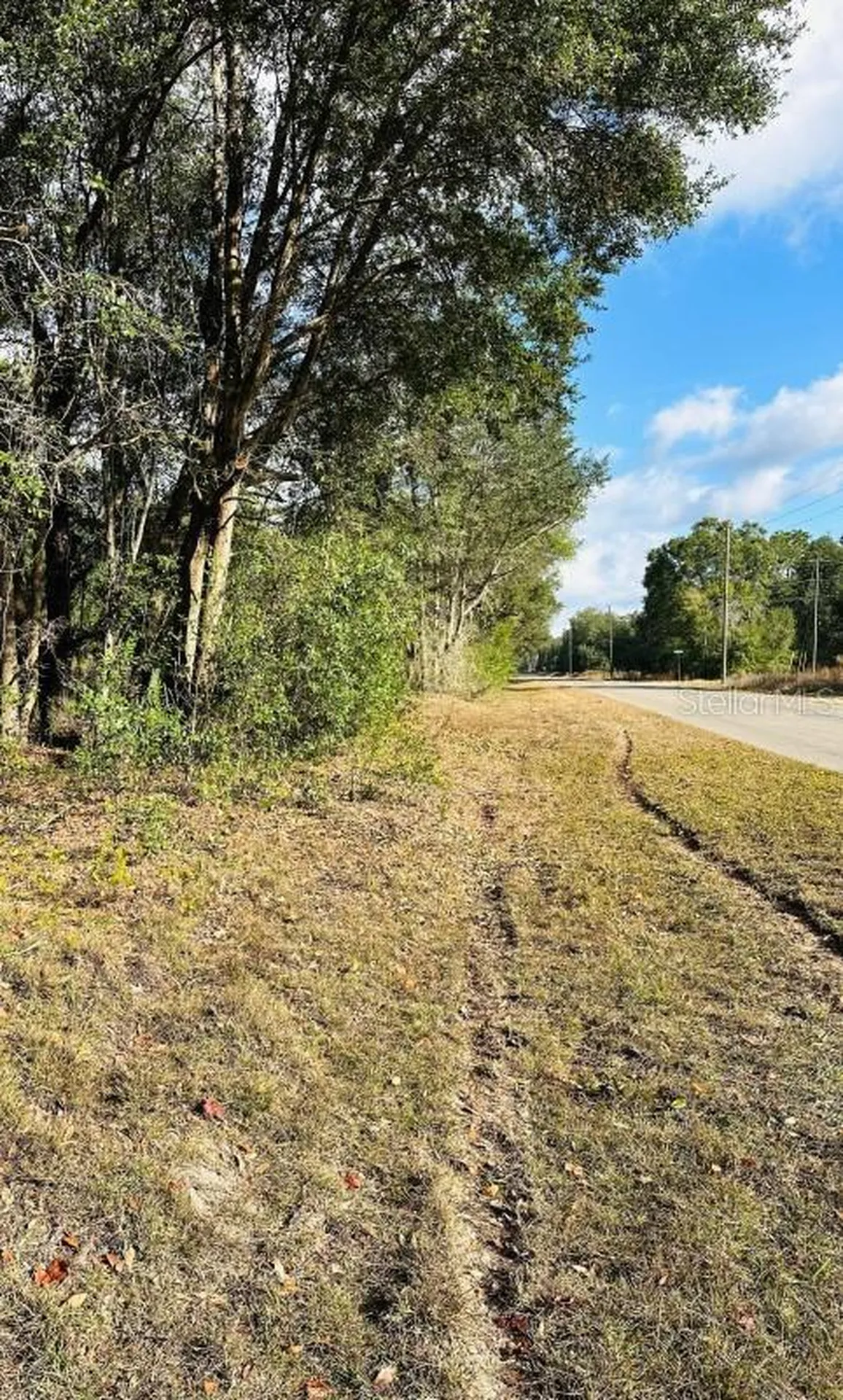 SE 141st Avenue Ocklawaha FL 32179