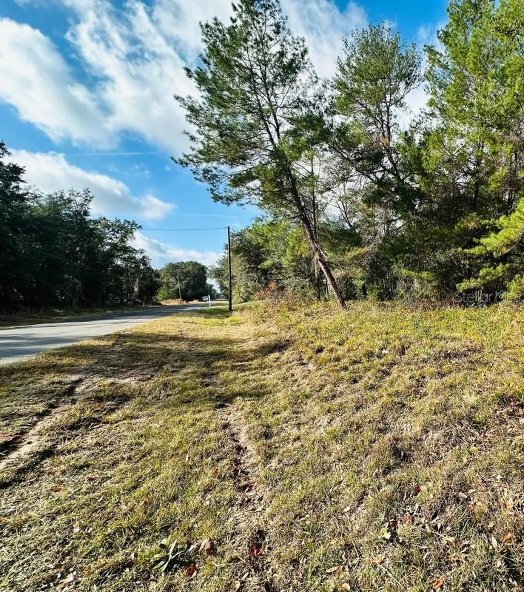 SE 141st Avenue Ocklawaha FL 32179