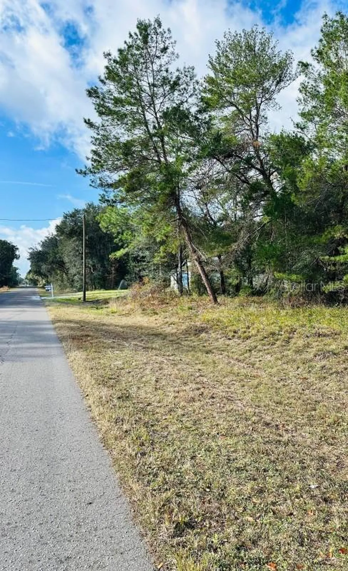 SE 141st Avenue Ocklawaha FL 32179