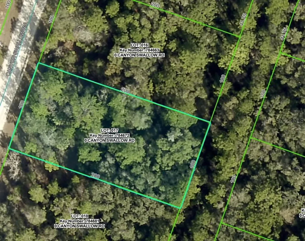 Lot 17 Canyon Swallow Road Weeki Wachee FL 34614