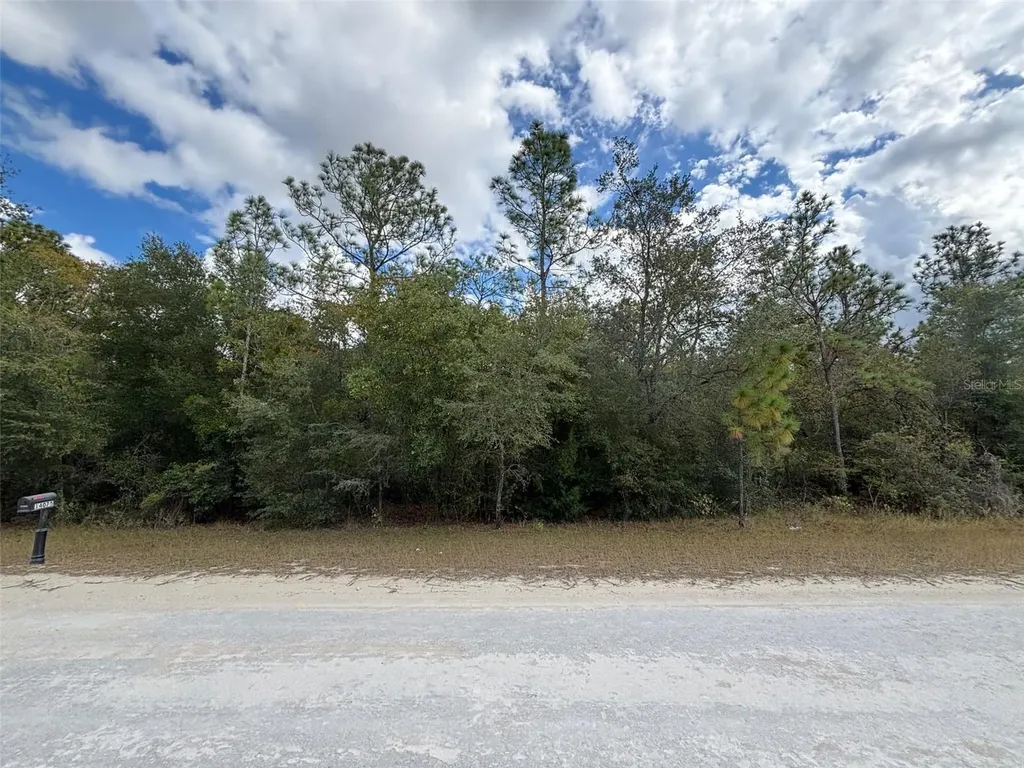 Lot 17 Canyon Swallow Road Weeki Wachee FL 34614